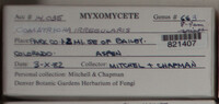 Image Associated With the Occurence